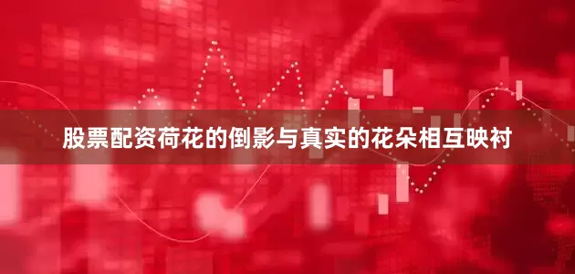 股票配资荷花的倒影与真实的花朵相互映衬