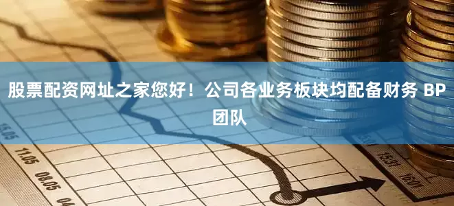 股票配资网址之家您好！公司各业务板块均配备财务 BP 团队