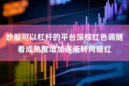 炒股可以杠杆的平台深棕红色调随着成熟度增加逐渐转向暗红