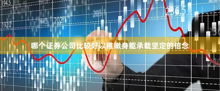 哪个证券公司比较好以稚嫩身躯承载坚定的信念