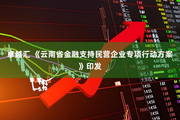 卓越汇 《云南省金融支持民营企业专项行动方案》印发